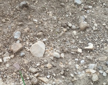 Boksitni prodniki na poplavnem vršaju Cerkniščice, foto arhiv Zavod Jezerski hram.