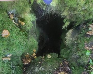 Sožitje pajka in podzemne jame, foto arhiv Zavod Jezerski hram.